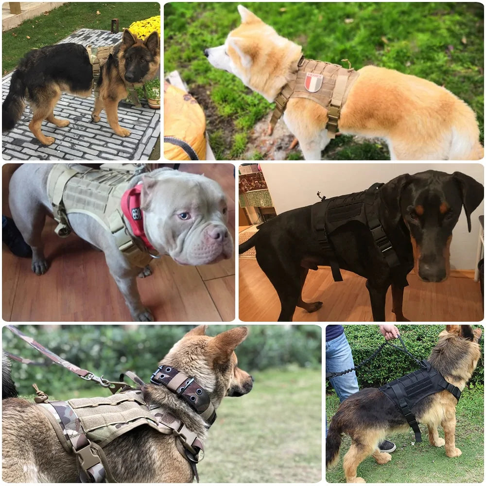 Hundegeschirr aus Nylon mit Handgriff und Bungee-Leine