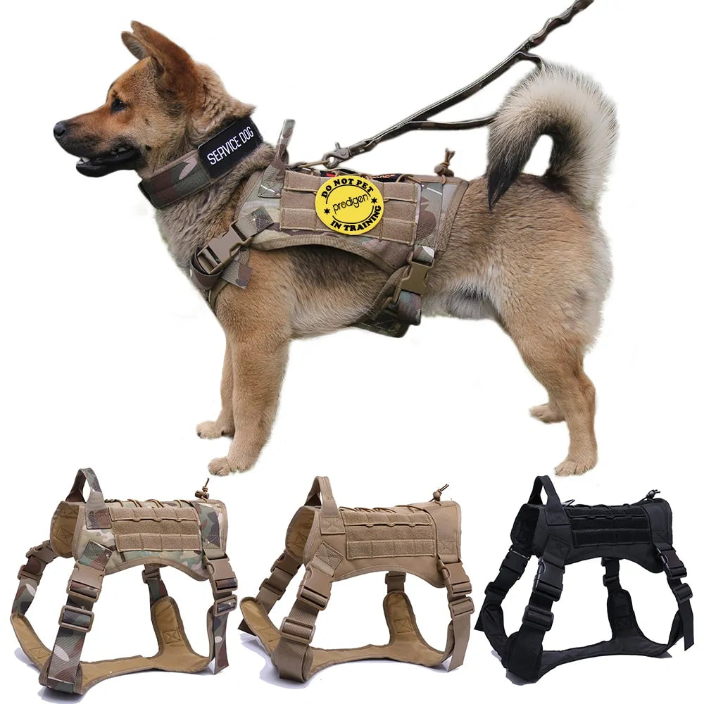Hundegeschirr aus Nylon mit Handgriff und Bungee-Leine